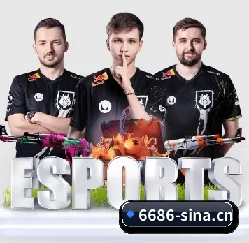 6686体育 APP 界面 - 6686 SPORTS